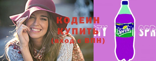 дурь Арсеньев