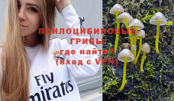 бошки Аркадак