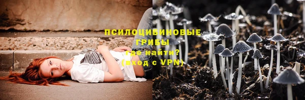 дурь Арсеньев