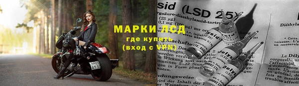бошки Аркадак