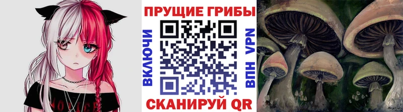 Галлюциногенные грибы мухоморы  Нея 