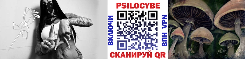 Псилоцибиновые грибы Psilocybe Нея
